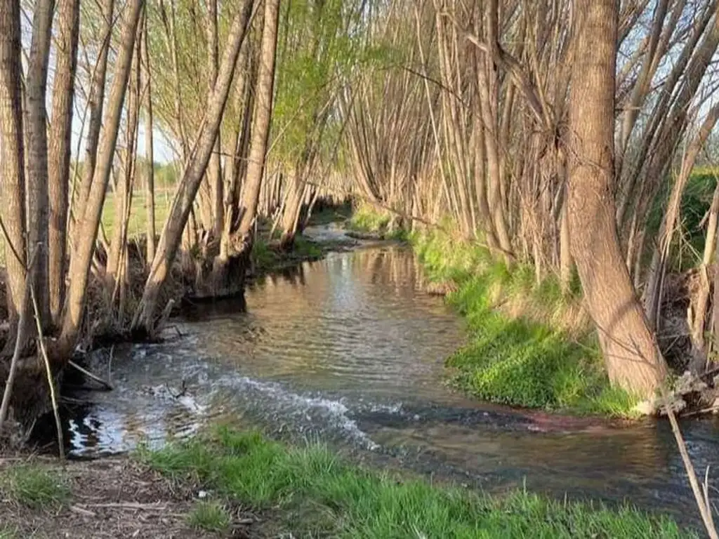 TERRENO EN VENTA - AL LADO DEL RÍO, TUNUYAN