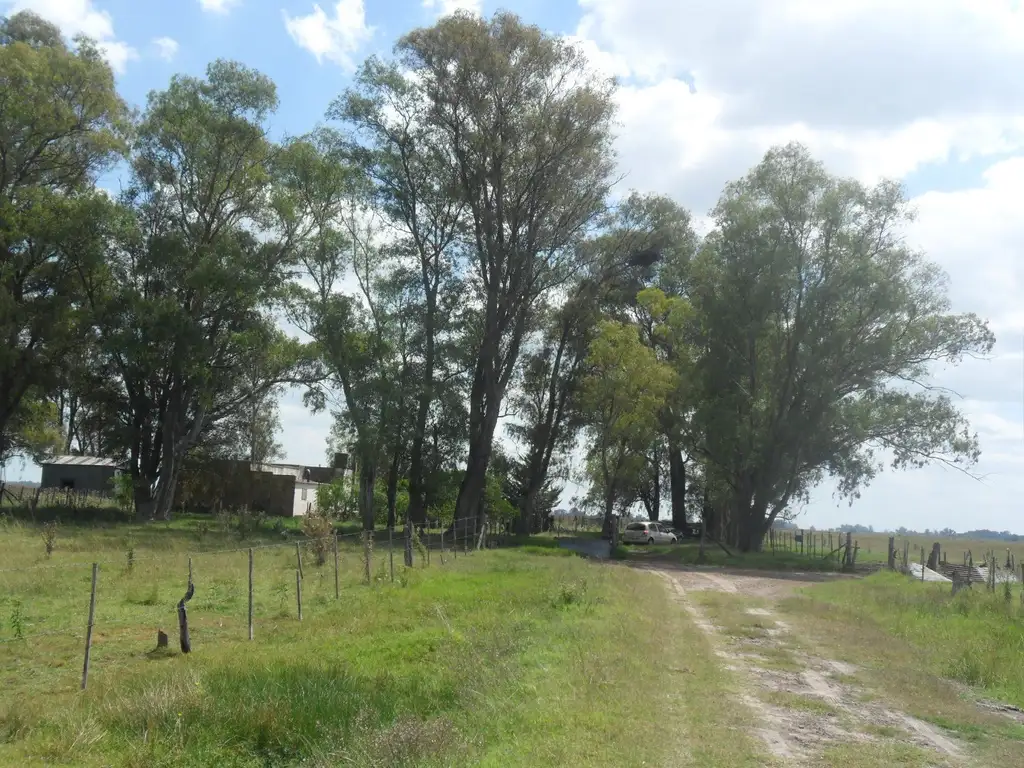 Vendo CAMPO de 136 Ha en Saladillo