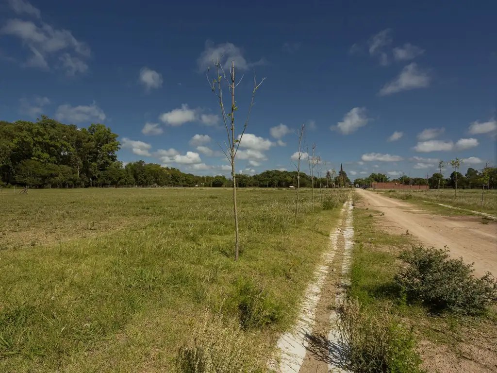 LOTE 24 VILLA CHICA