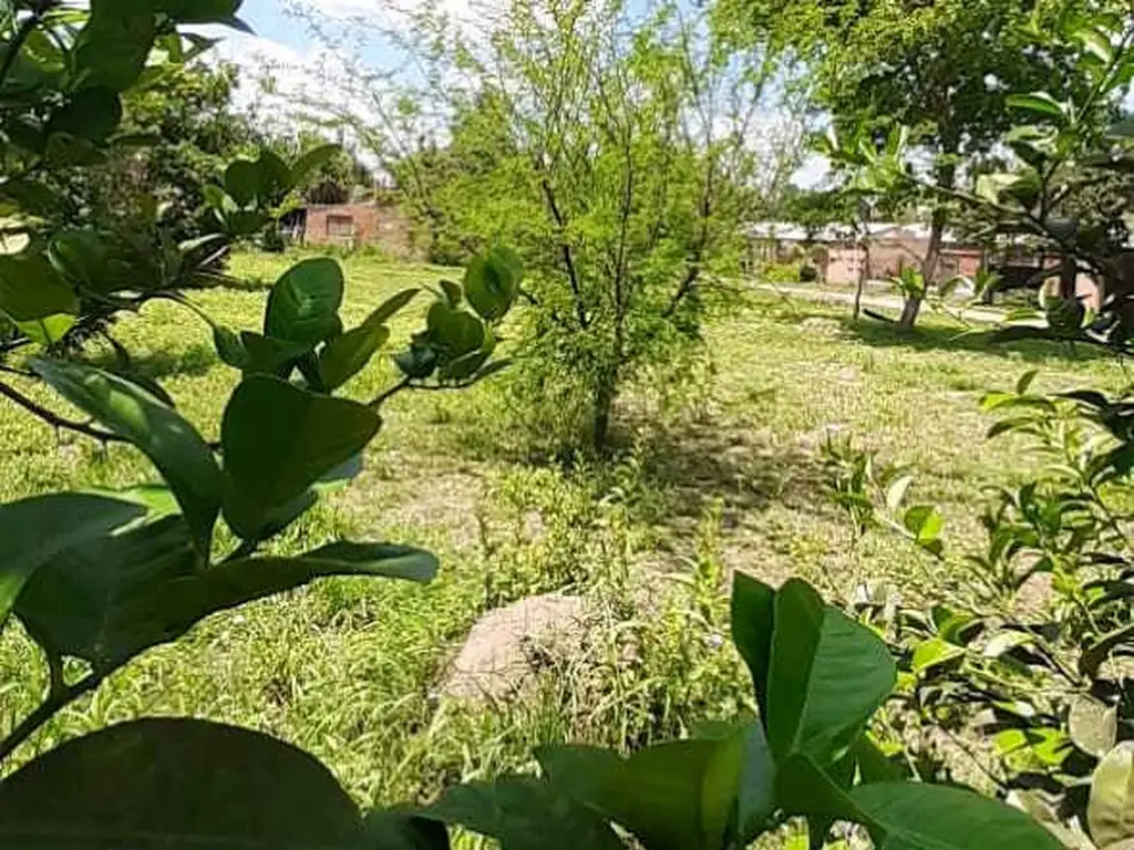 La esquina frutal de Colonia Benítez