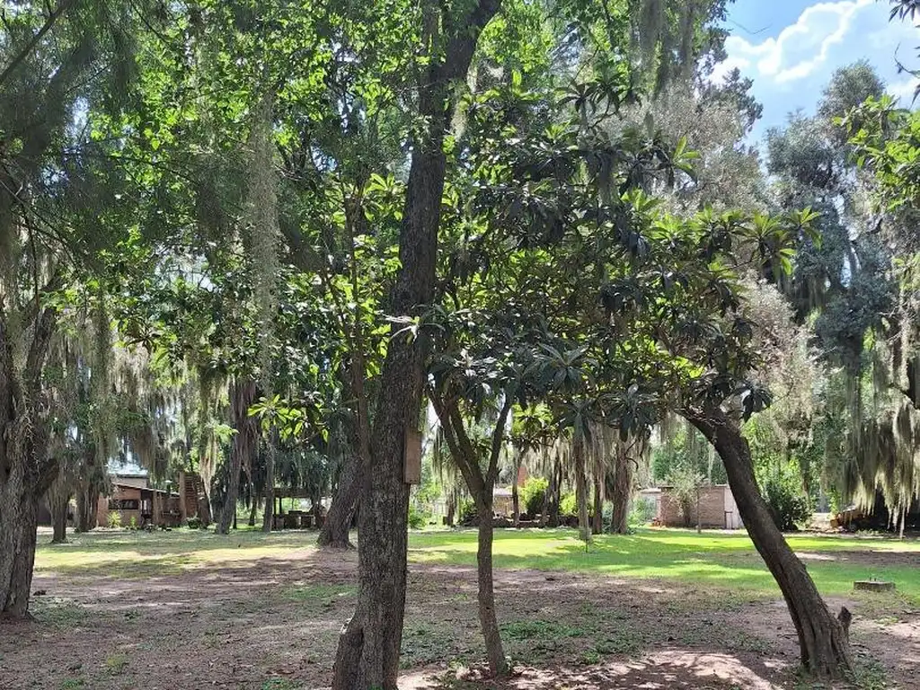 DOS HECTAREAS CON ACCESO  AL RIO CARCARAÑA