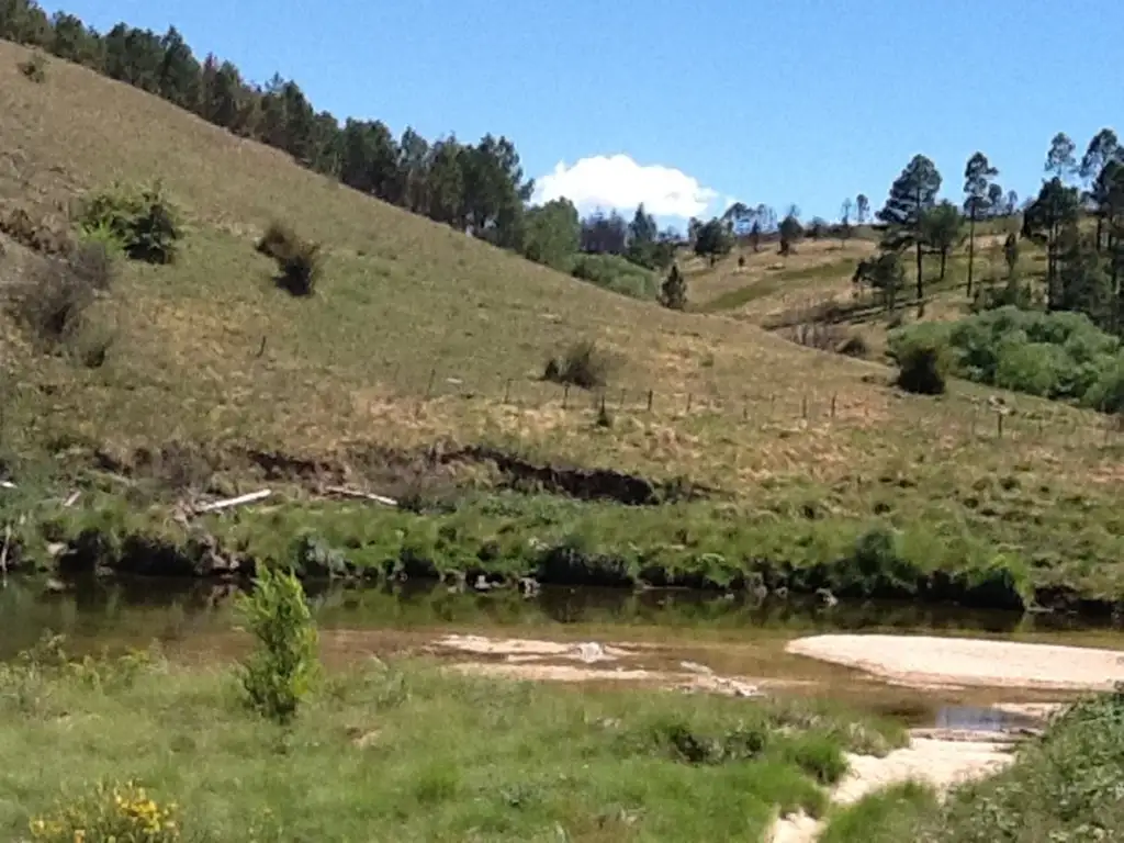 VENTA DE CAMPO CON COSTA DE RÍO - TLC0067