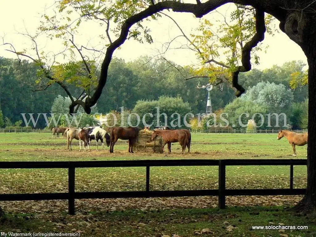 Chacra en Estancia Benquerencia 2