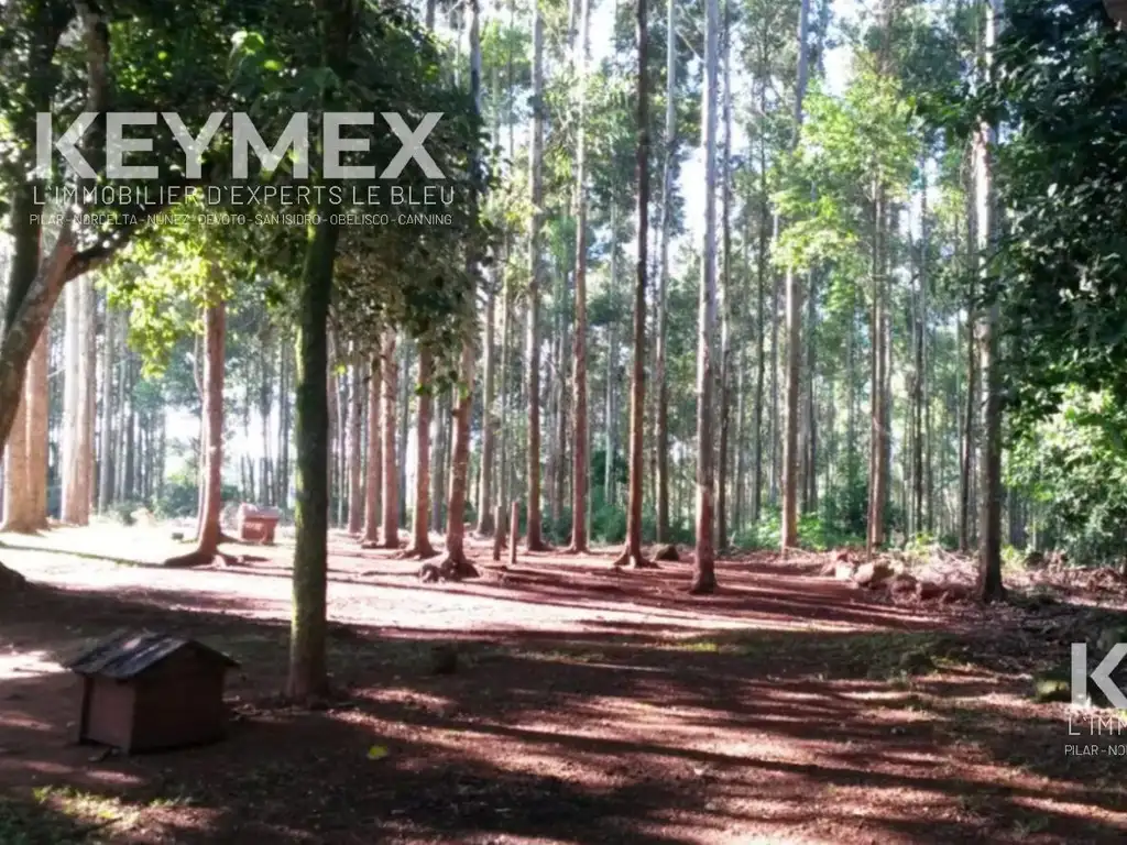 Campo 95.88h en Campo Grande, Misiones