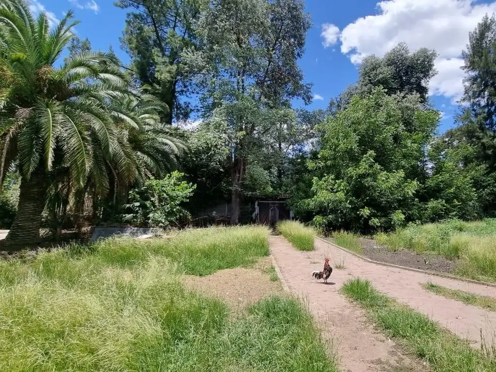 Lote en venta sobre la calle Combate de Obligado. Barrio el Trebolar, Del viso, Pilar.