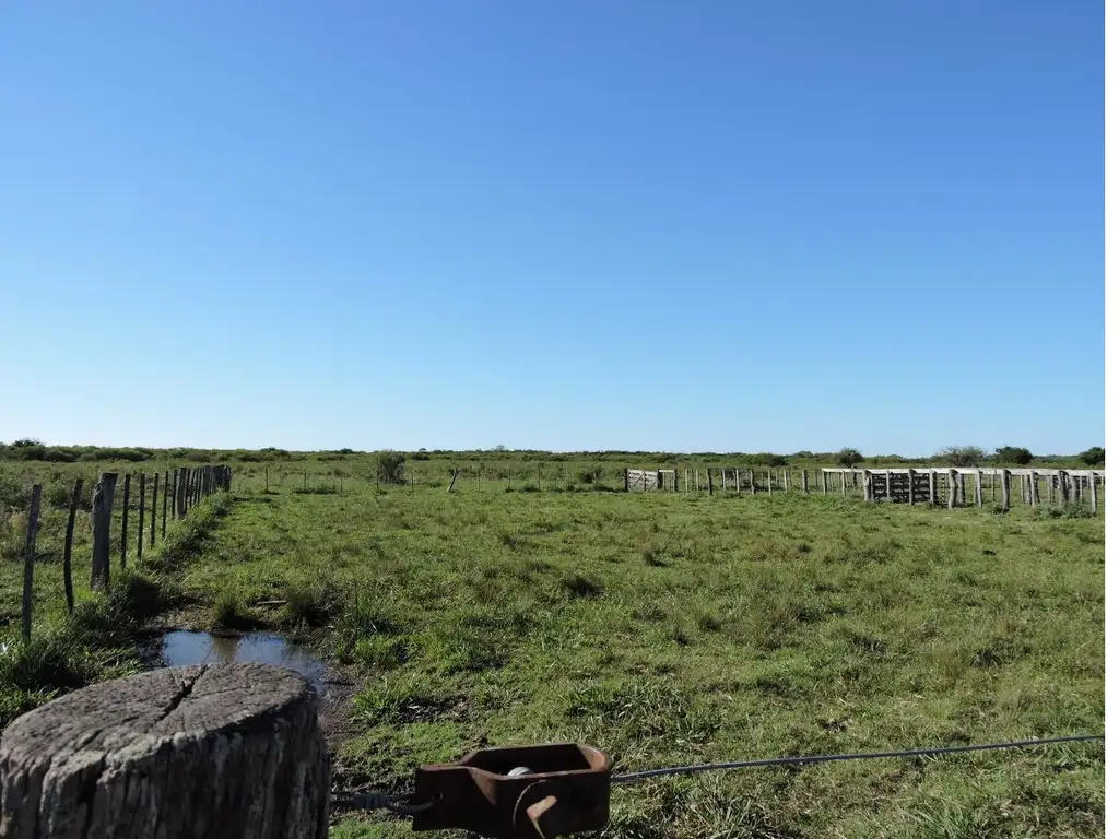 Campo de 230 Hás. en Gualeguaychú.