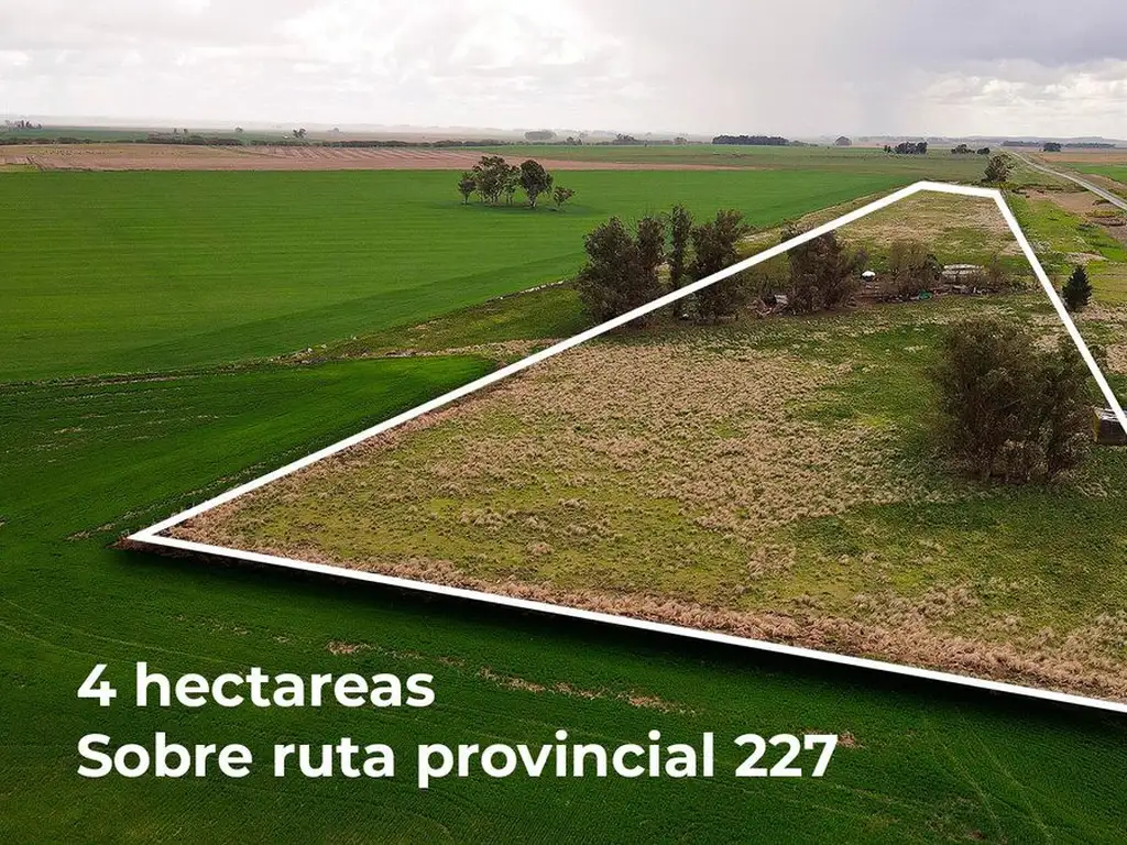 4 HECTAREAS DE CAMPO LOBERIA  BUENOS AIRES