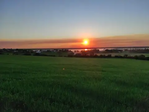 3,8ha ZONA  ALDEA BRASILERA