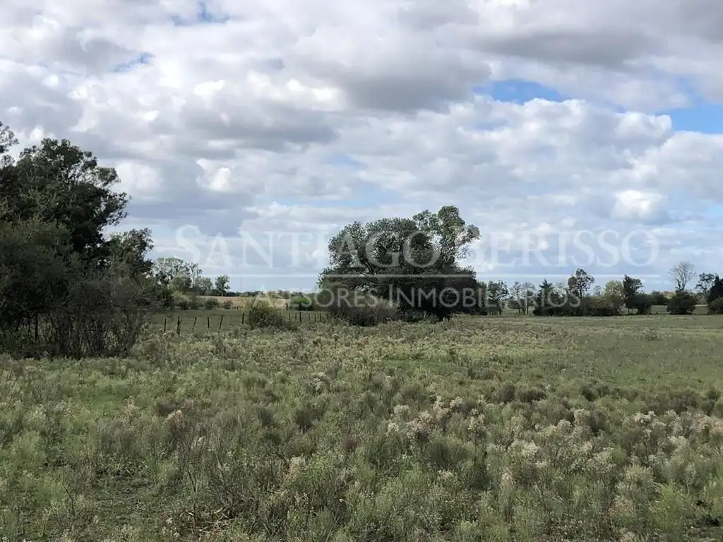 Terreno Campo  en Venta en Exaltación de la Cruz, G.B.A. Zona Norte, Argentina