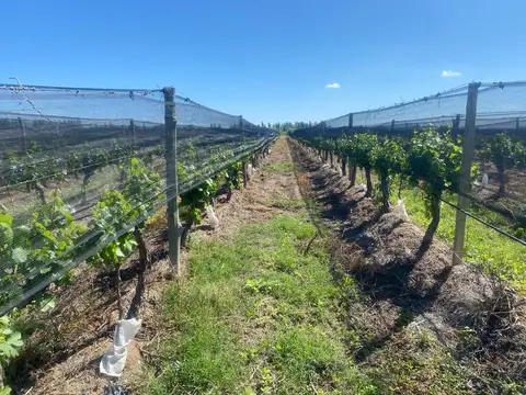 SE VENDE FINCA (OPORTUNIDAD)