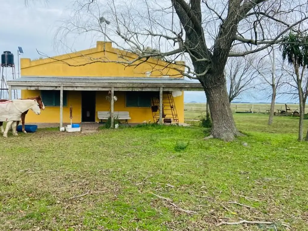 Venta de Campo, Magdalena, Cercano a ruta 36, altura Payro