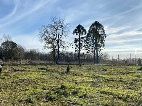 Terreno en  Pilar