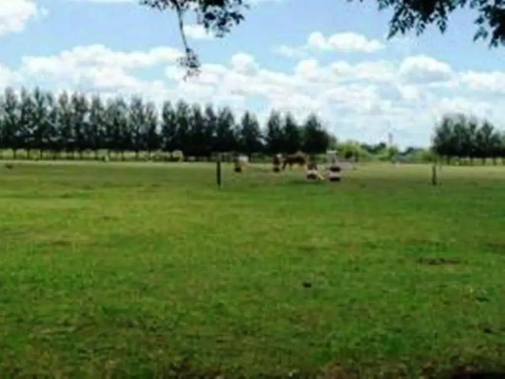 venta campo Ranchos