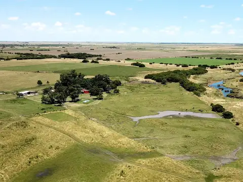 Campo de 791 ha en Samborombón, Chascomús,