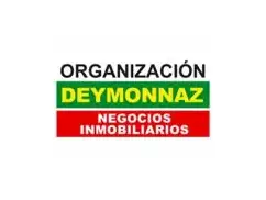 Organizacion Deymonnaz