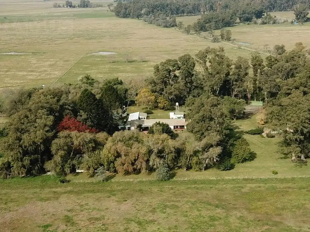 Campo en Venta Chascomús, Bs. As.