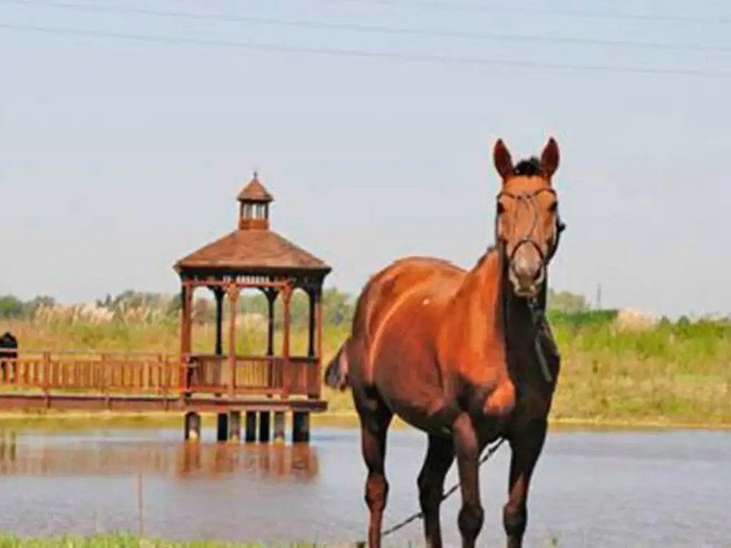 Terreno en Haras San Pablo I Gran Oportunidad