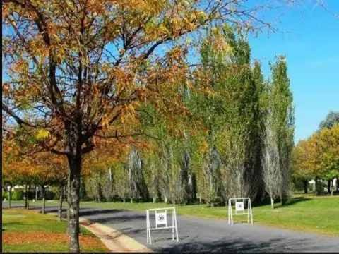 Terreno - Pilar Del Este - Foto 0