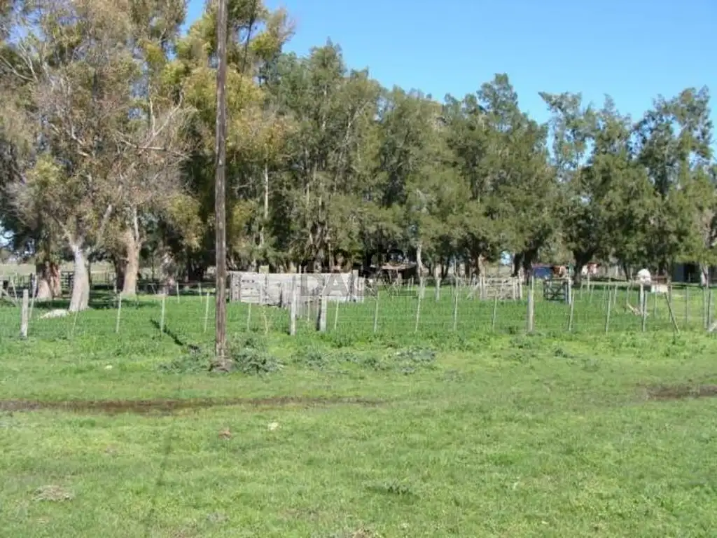 Campo en Venta en Arditi Magdalena - Alberto Dacal Propiedades