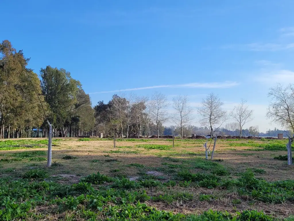 Lote al Arroyo - Azzurra Tortugas