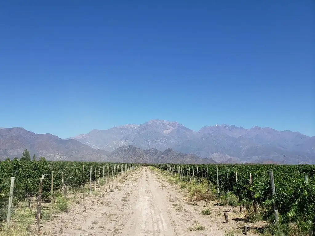 MAGNIFICA FINCA EN VENTA EN ALTAMIRA VALLE DE UCO