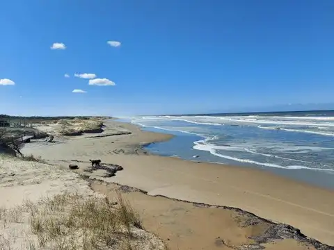 Terreno en venta - 1.000.000Mts2 - 100 Hectáreas - Río Grande Do Sur, Brasil