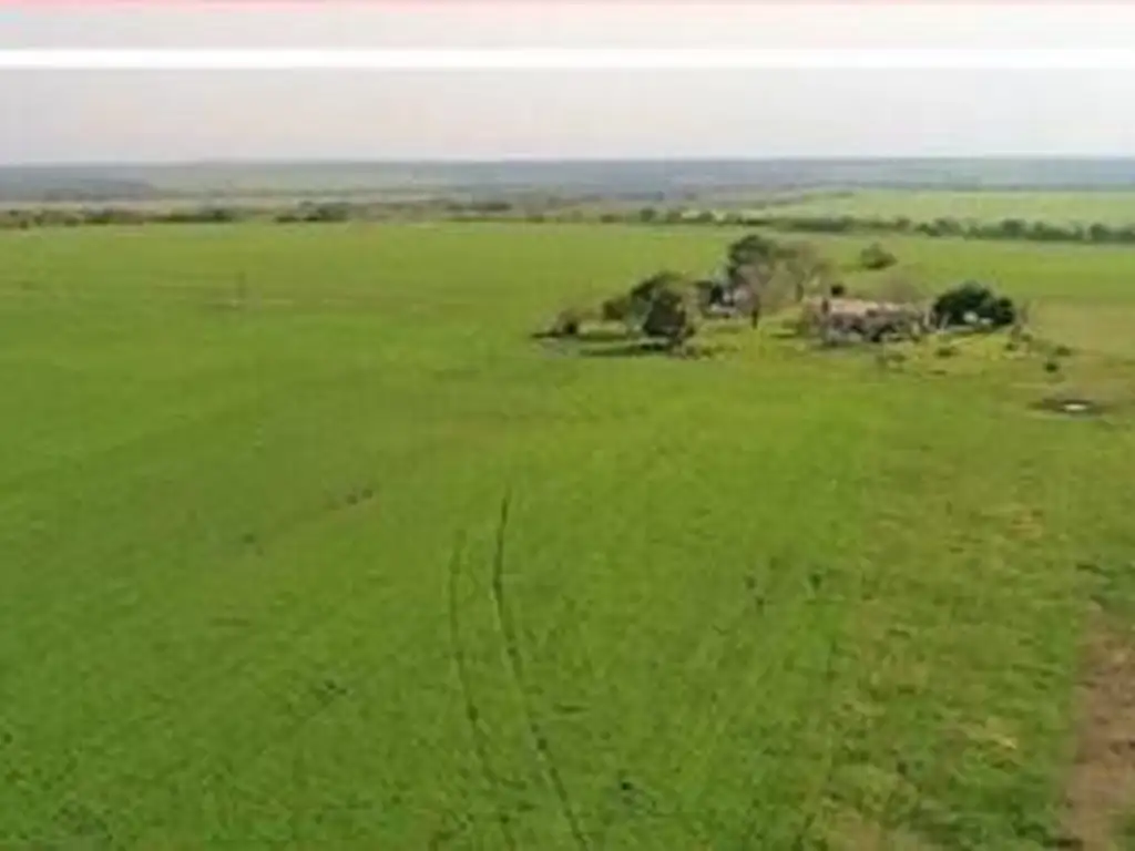 Venta Campo en Entre Rios Puerto Algarrobo Argentina