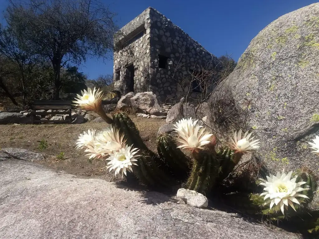 Venta Oportunidad  7 Hectareas con 3 cabañas en Achiras Arriba, Traslasierra