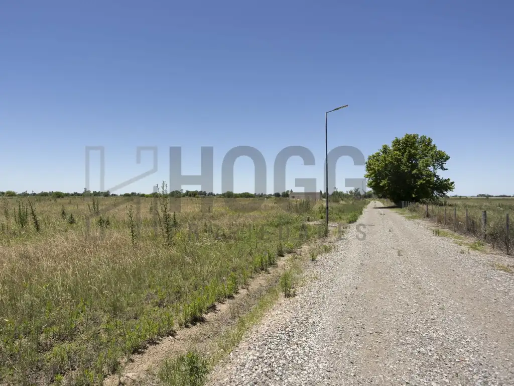 Lote 10.000 m2 en Duggan