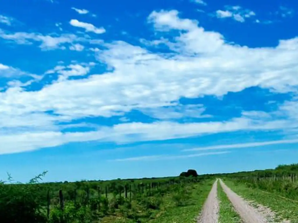 Campo - Santiago Del Estero