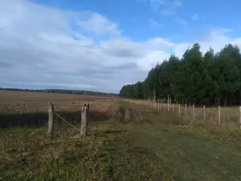 Campo en Estación Yeruá