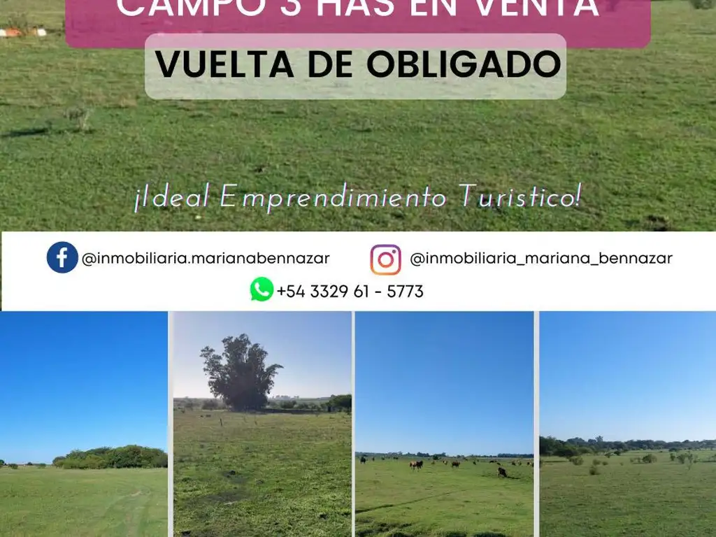 CAMPO - VUELTA DE OBLIGADO - SAN PEDRO