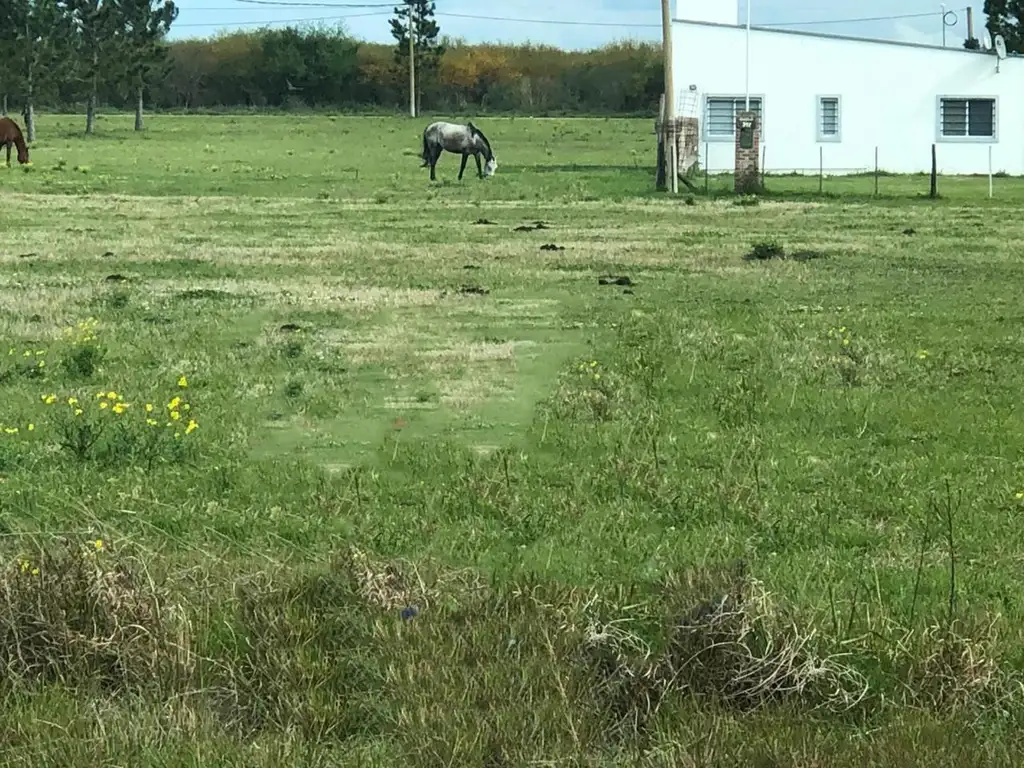 Terreno en venta - 475mts2 - Gualeguaychú, Entre Ríos