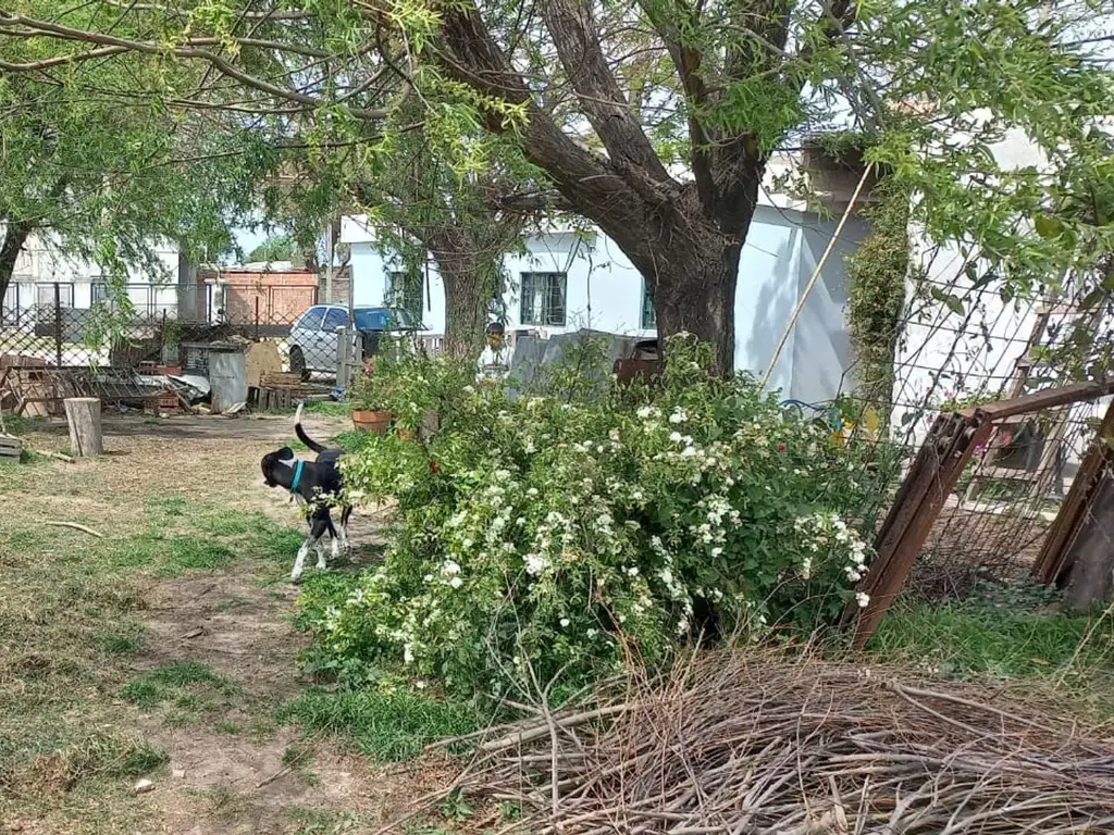 Terreno en Barrio El Trebol