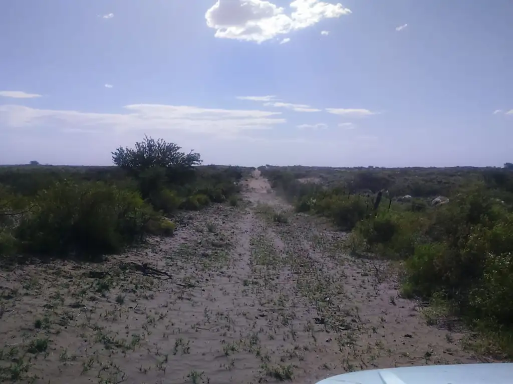 Campo 5000 Ha en el Dpto. Limay Mahuida- La Pampa