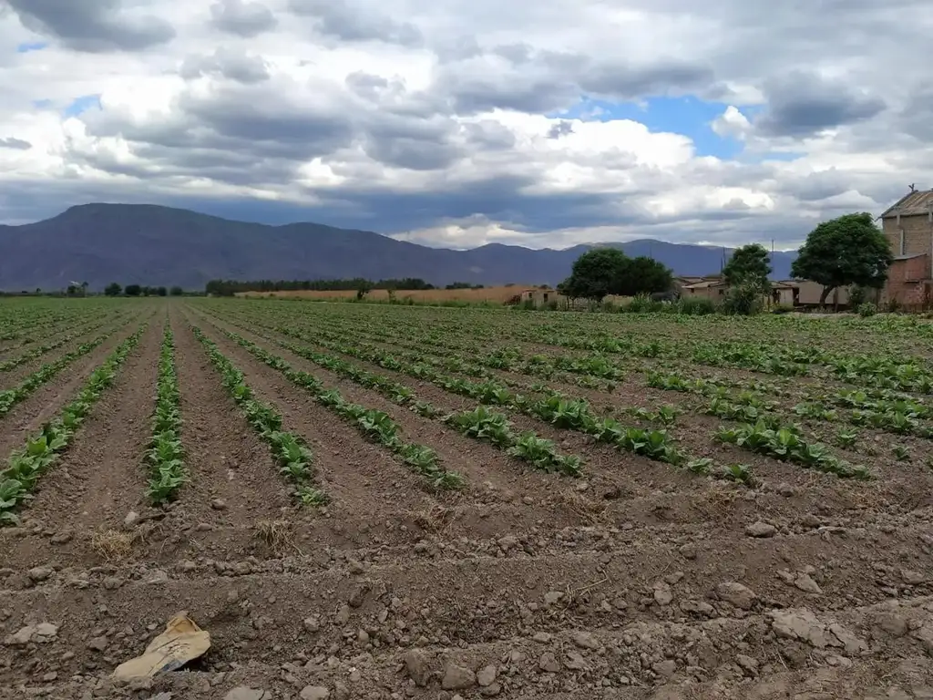 FINCA CAMINO SAN AGUSTIN SOBRE RUTA PROVINCIAL 21