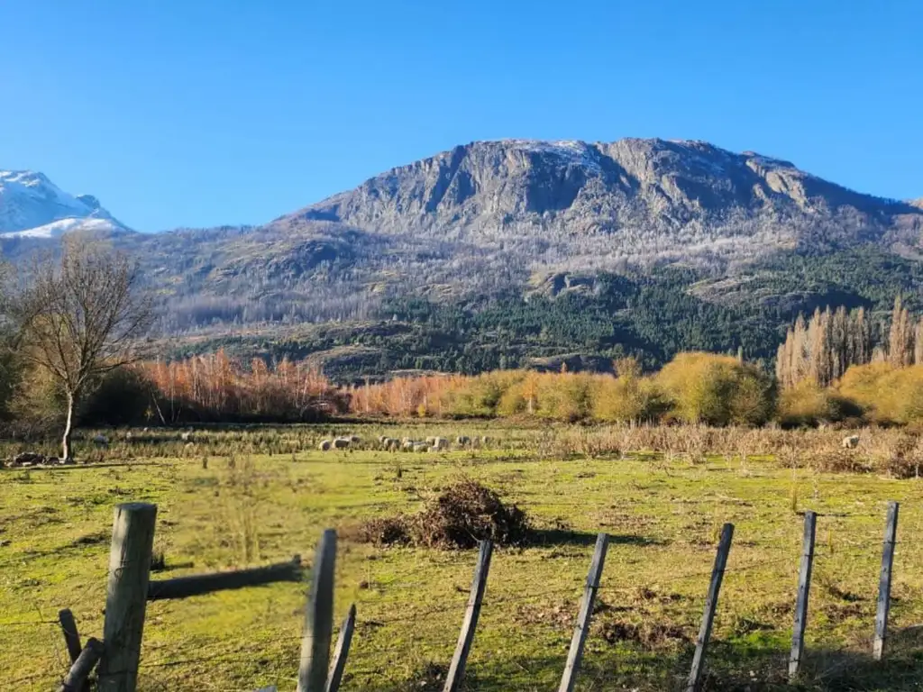 Chacra 5 Has Frente - Arroyo y bosque nativo - El Hoyo