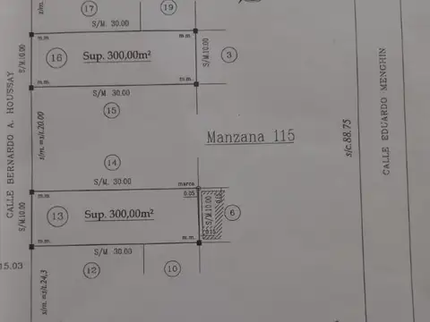 Terreno / Lote en venta de 300m2 ubicado en Parque Peña