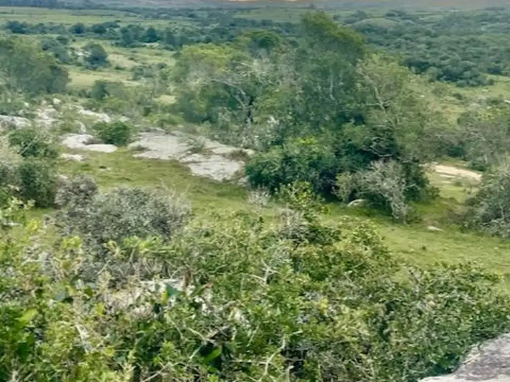 Campo - Venta - Uruguay, Maldonado