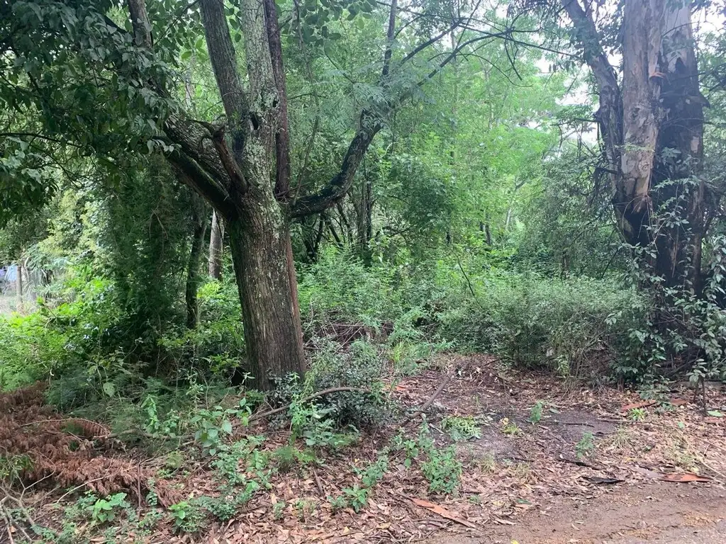 Venta de Terreno en El Ensueño, Santa Ana, Colonia