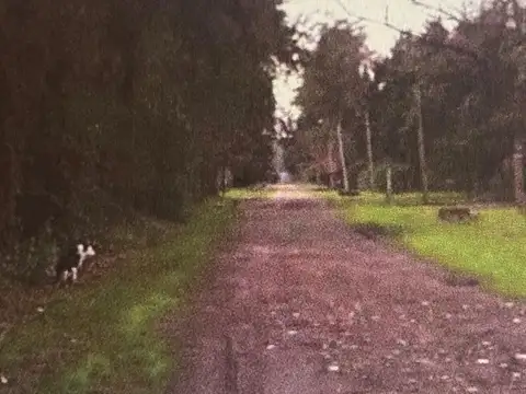 Terreno BARRIO SAN CARLOS, FATIMA PILAR