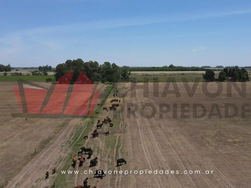 Campo en Venta, 118 ha c/mejoras. Plomer, Gral Las Heras