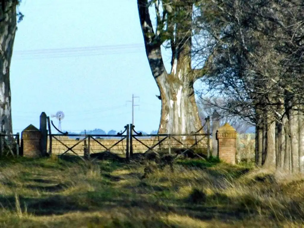 Campo venta Las Flores