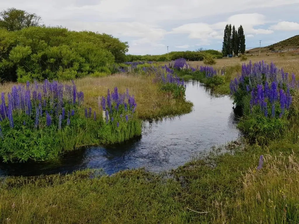 Río Pico, Chubut. Lote de 2 Hectáreas con Arroyo.