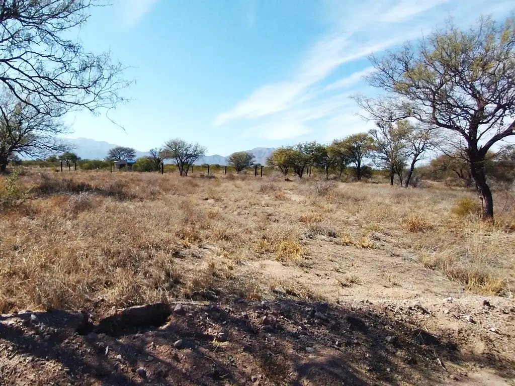 LA PUNTA-ENTORNO NATURALEZA PLENA-TERRENO 600MTS2