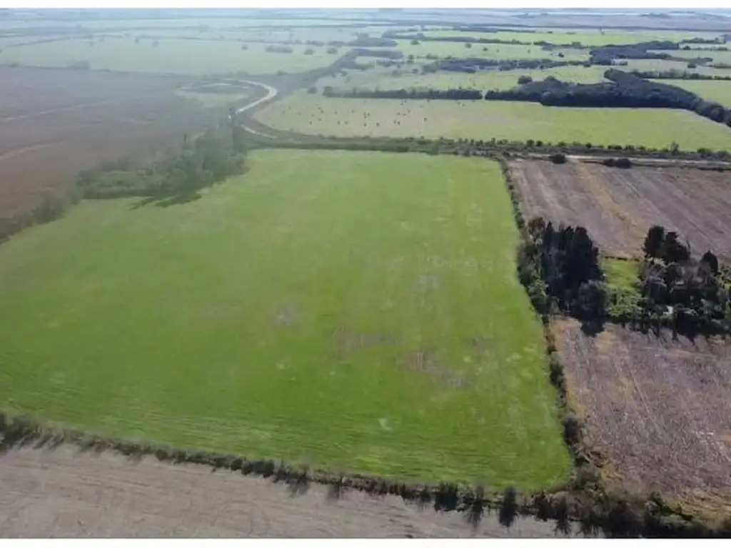 Campo Agrícola en zona alta  de Victoria