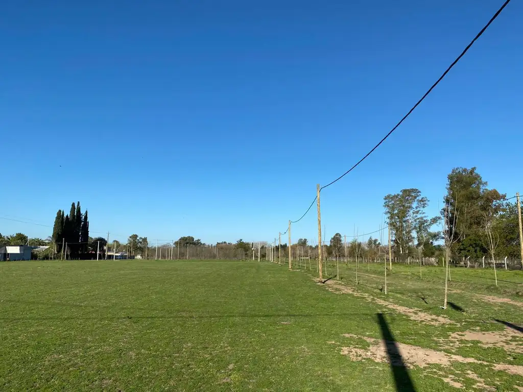 Lote - Venta - Argentina, Lobos