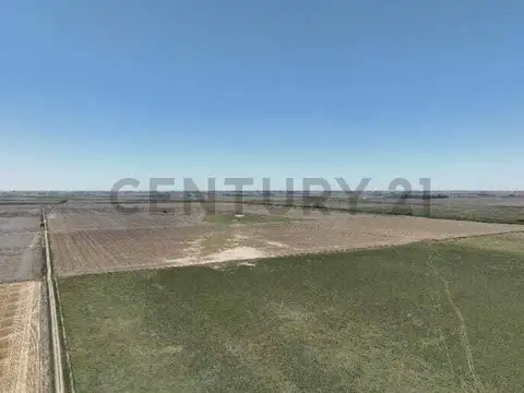 Venta 150 hectáreas de campo