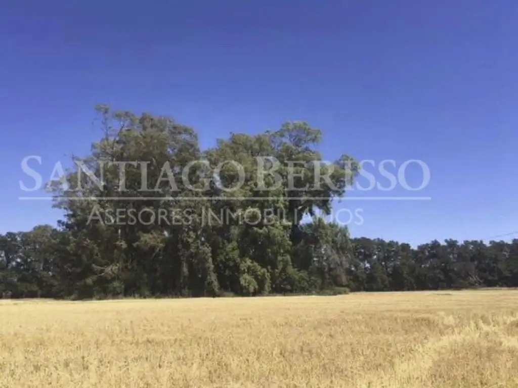 Terreno Campo  en Venta ubicado en Zárate, G.B.A. Zona Norte, Argentina