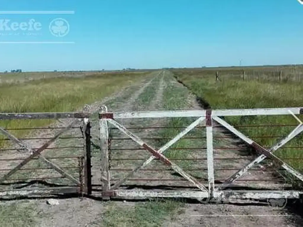 Campo ganadero en venta de 1362 has en Olavarria